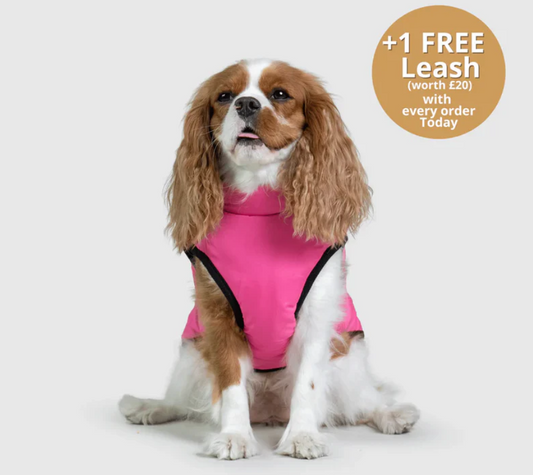 Waterproof Furry Jacket for Dogs of All Sizes